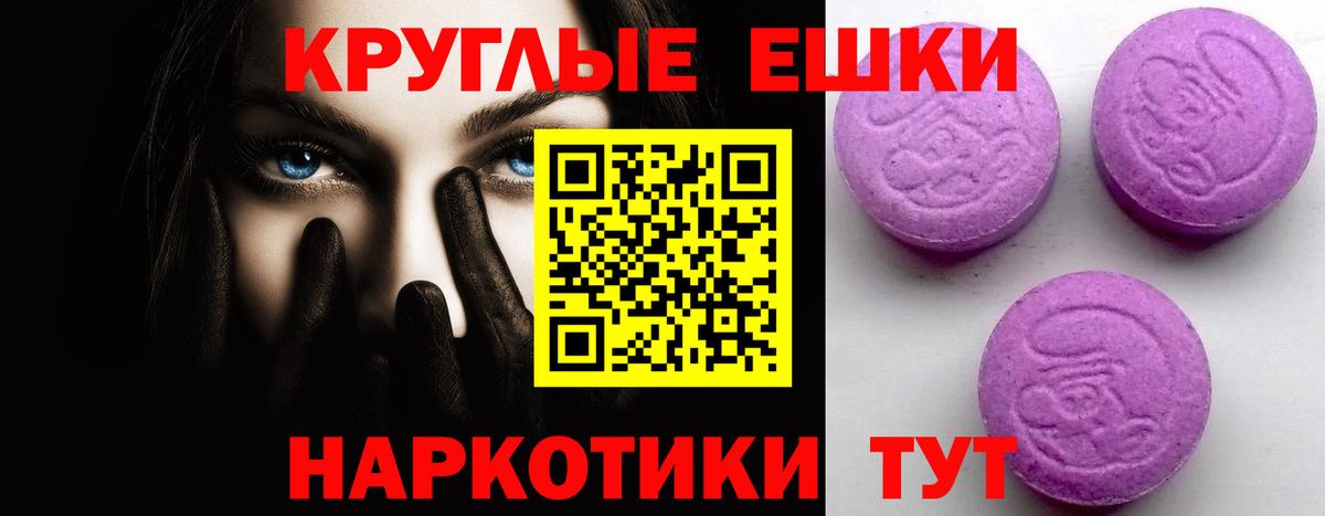 Экстази  Вход с VPN  Волхов  Экстази Cube  Экстази Philipp Plein 