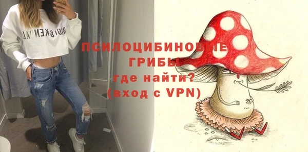 spice Алексин