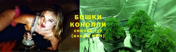 ALPHA PVP Алексеевка