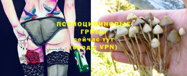 spice Алексин