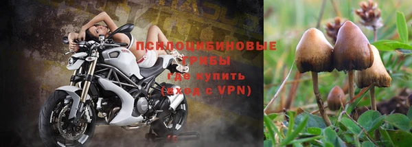 ALPHA PVP Алексеевка