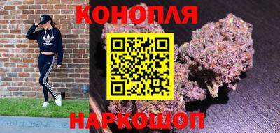 гидра Моздок