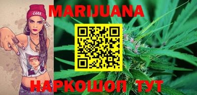 гидра Моздок