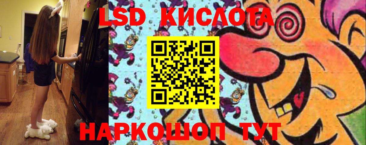 Волхов  Лсд 25 экстази кислота  Лсд 25 экстази кислота  Вход с VPN 