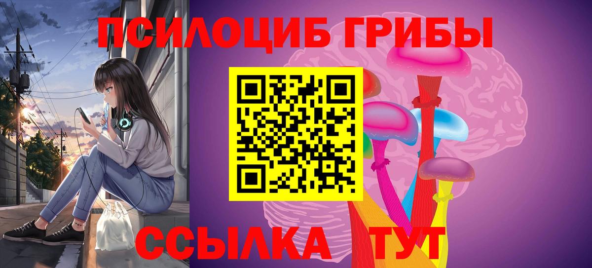 Волхов  Псилоцибиновые грибы Psilocybe  Псилоцибиновые грибы мухоморы  Вход с VPN 