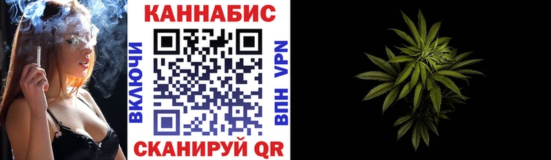 магазин продажи наркотиков  Волхов  Шишки марихуана OG Kush 